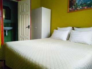 Гостевой дом Zoryani Karpaty Славское Двухместный номер с 1 кроватью-3